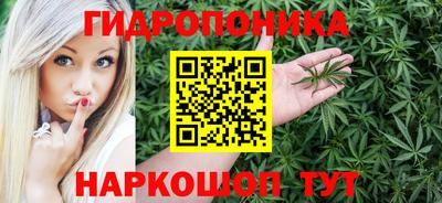mdpv Лесосибирск