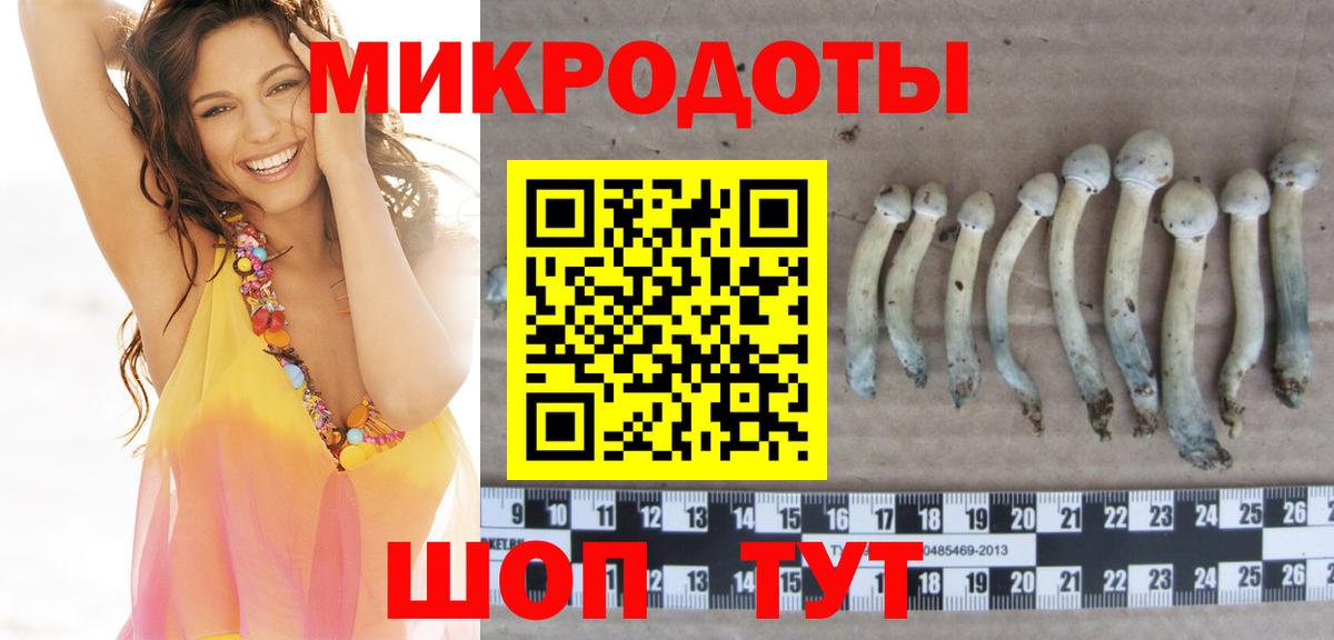 Псилоцибиновые грибы Psilocybe Губаха