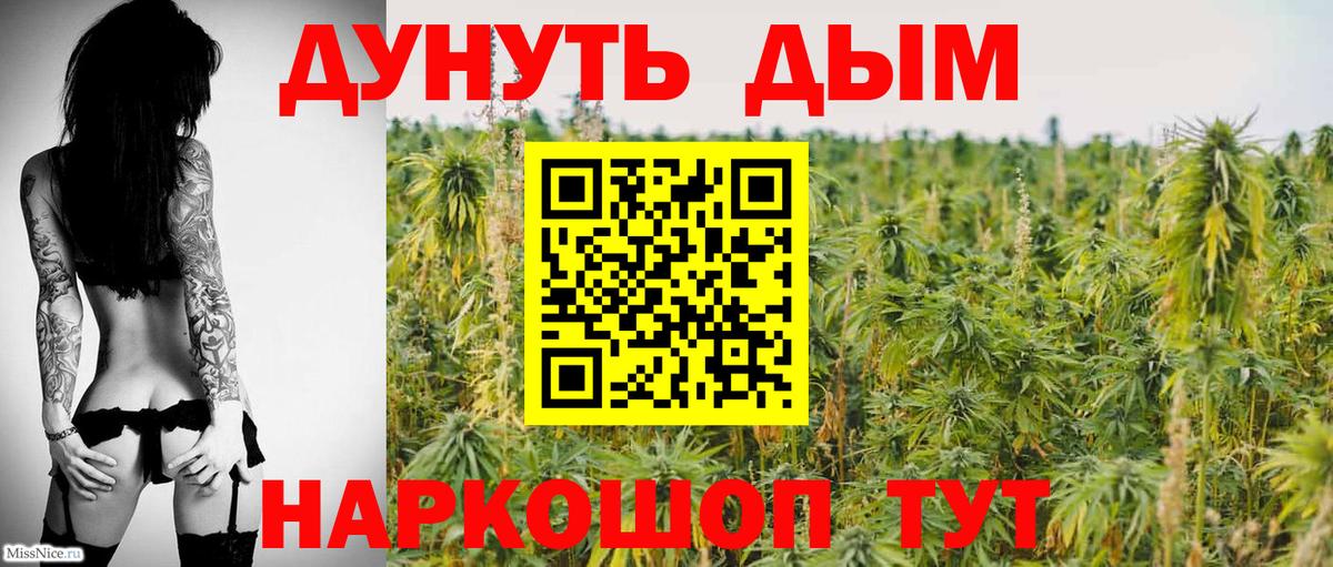 Канабис сатива  Вход с VPN  Губаха  Марихуана сатива 